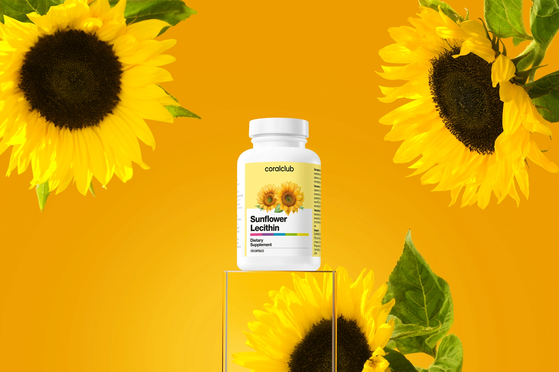 Активное долголетие